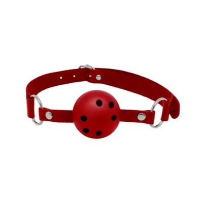 Кляп Discretion Red