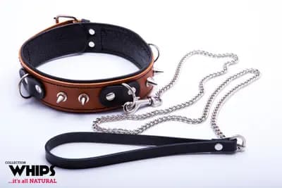 Бондажі/наручники WHIPS obroA?a niewolnika ze smyczA…, koniakowa