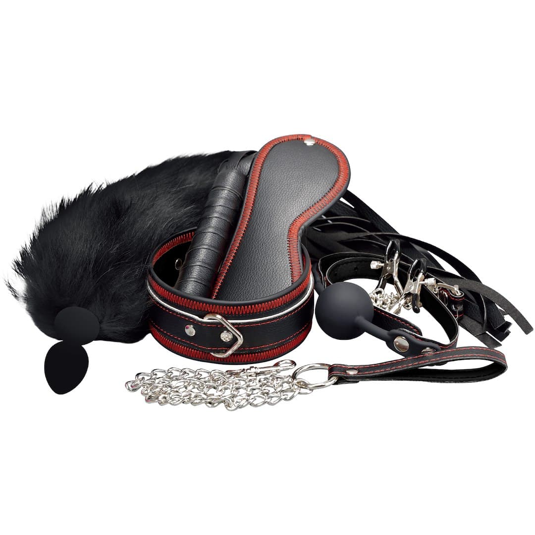 Набір для еротичних ігор Erospace Wild Play C8 2